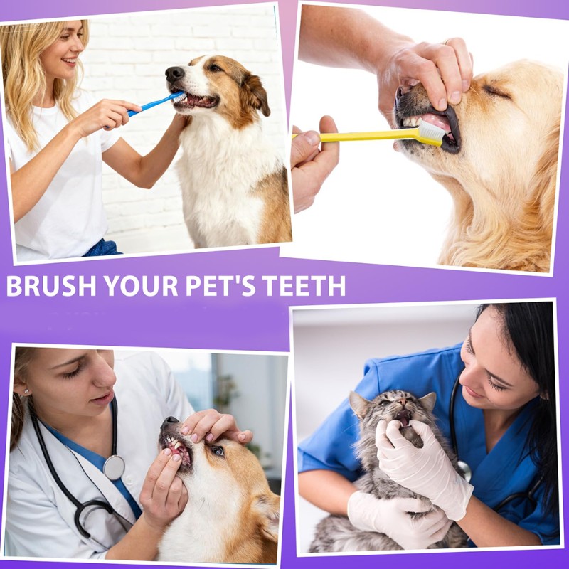 Dog Paw Cleaner - AB66-อุปกรณ์ทำความสะอาดช่องปากสุนัข-แปรงสีฟันสุนัข 60 หัว, แปรงทำความสะอาดอุ้งเท้าแบบสองด้าน, น้ำยาทำความสะอาดฟันสัตว์เลี้ยง, อุปกรณ์สำหรับสัตว์เลี้ยง
