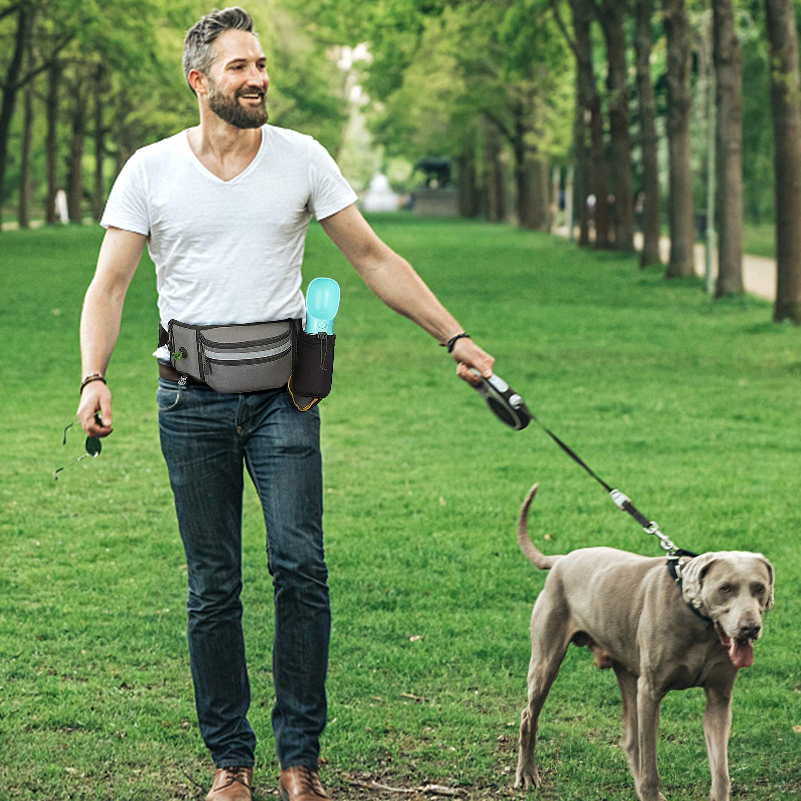 สุนัขรักษากระเป๋าสําหรับการฝึก - Pet Supplies Rewards บทวิจารณ์และราคา