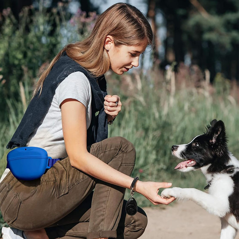 กระเป๋าขนมสุนัขซิลิโคนแบบพกพาส - Pet Supplies Rewards บทวิจารณ์และราคา
