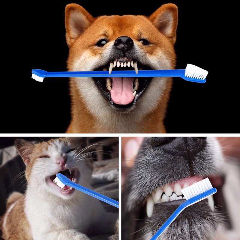 AB66-อุปกรณ์ทำความสะอาดช่องปาก - Dog Paw Cleaner บทวิจารณ์และราคา