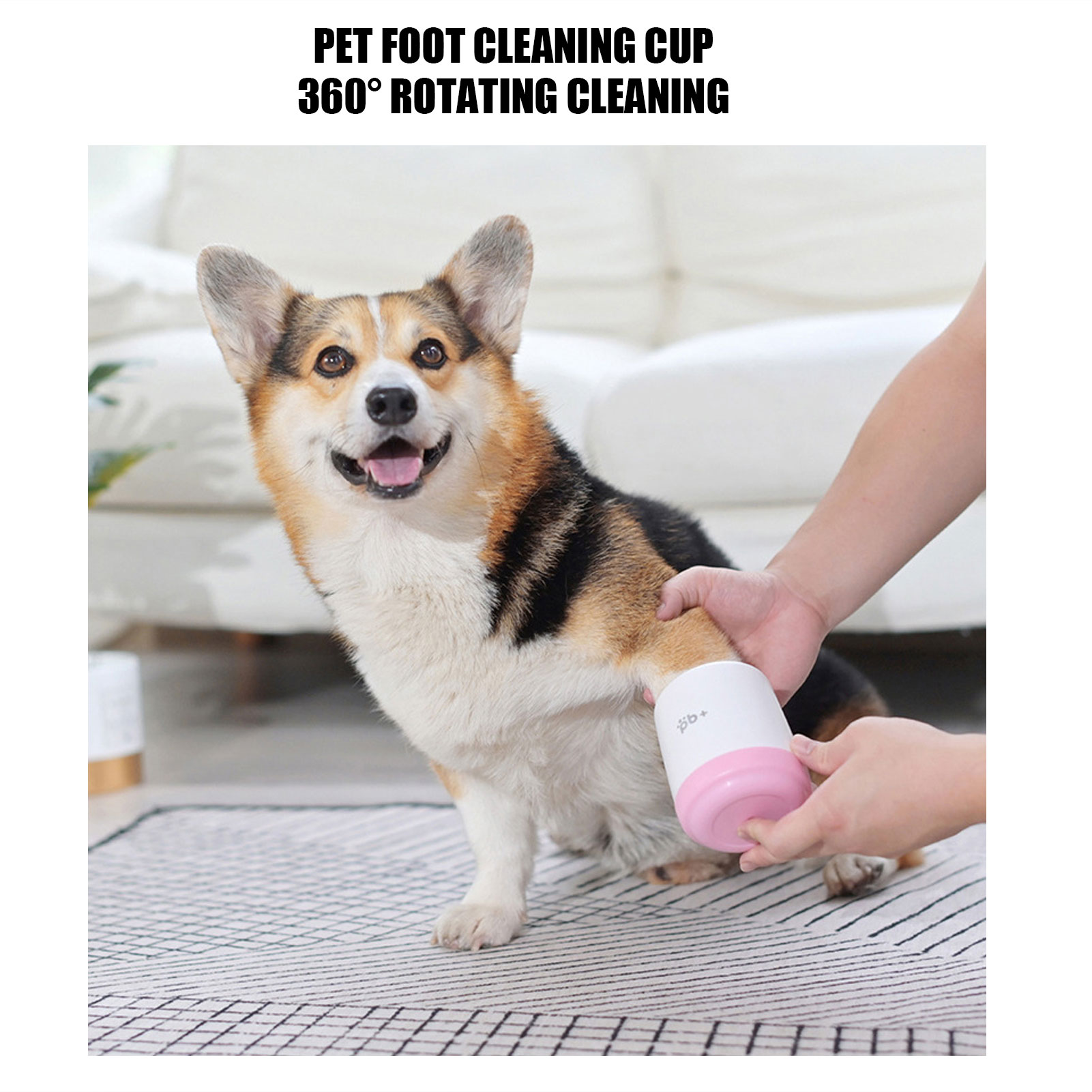 ถ้วยทำความสะอาดตีนสุนัขแบบซิลิ - Dog Paw Cleaner บทวิจารณ์และราคา